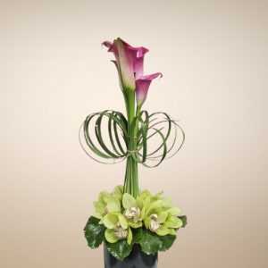 Arrangement 42