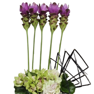 Arrangement 40