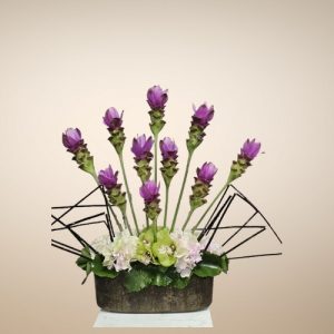 Arrangement 41