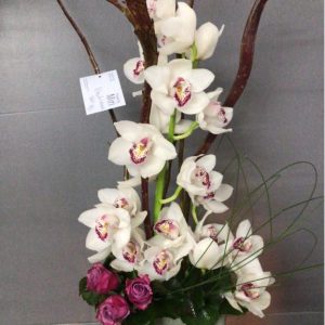 Arrangement 15