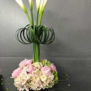 Arrangement  6