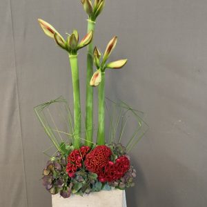 Arrangement 10