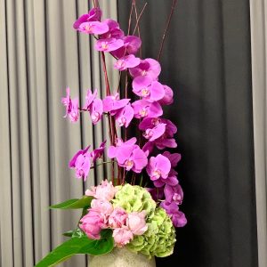 Arrangement 31