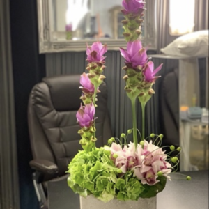 Arrangement 16